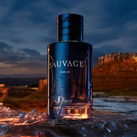 sauvage dior oil perfume|Dior Sauvage edp perfume shop.